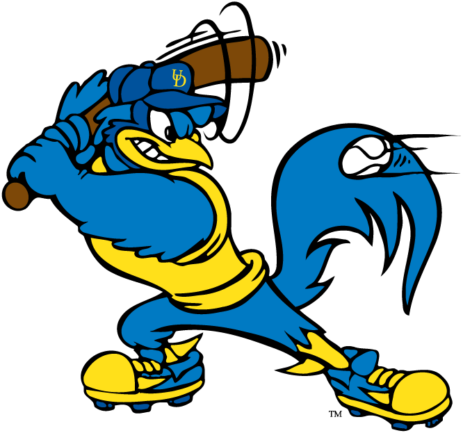 Delaware Blue Hens 1993-Pres Mascot Logo v8 iron on transfers for clothing
